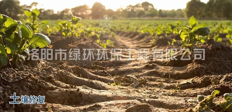 南宫NG·28(集团)相信品牌力量有限公司
